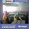 Large Output Frozen Shrimp And Seafood Freezer With Good Quality